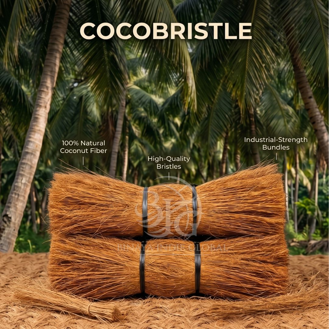 Cocobristle